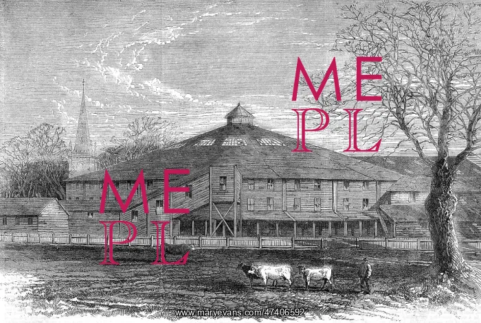 : Shakespeare commemoration 1864 : Shakespeare commemoration 1864
