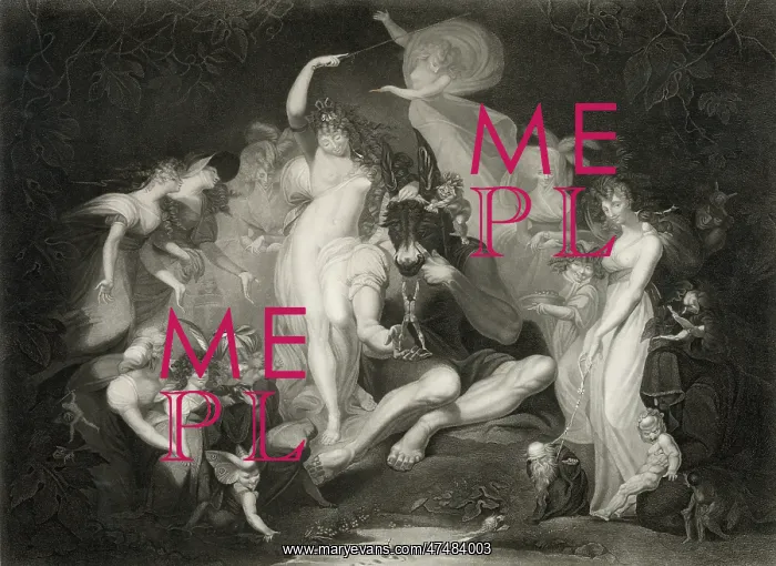 : Shakespeare - Midsummer Nights Dream : Shakespeare - Midsummer Nights Dream