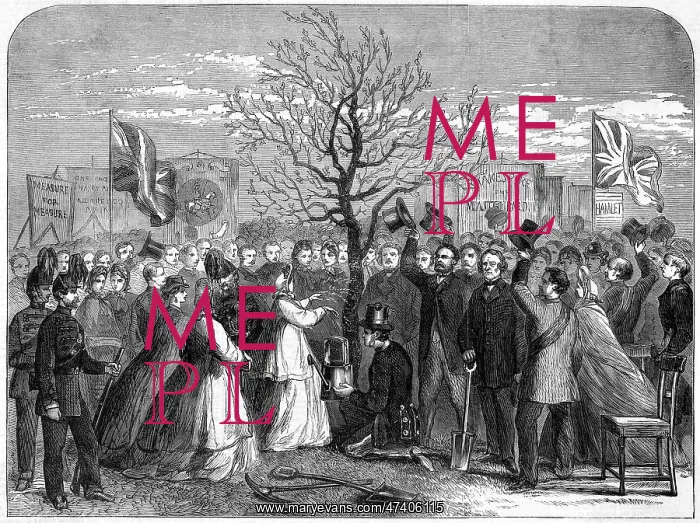: SHAKESPEARE OAK 1864 : SHAKESPEARE OAK 1864