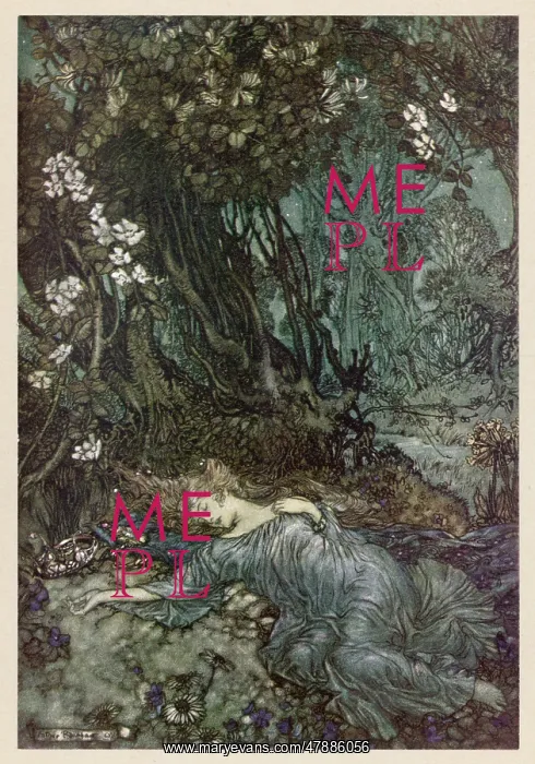 : SHAKESPEARE / TITANIA : SHAKESPEARE / TITANIA