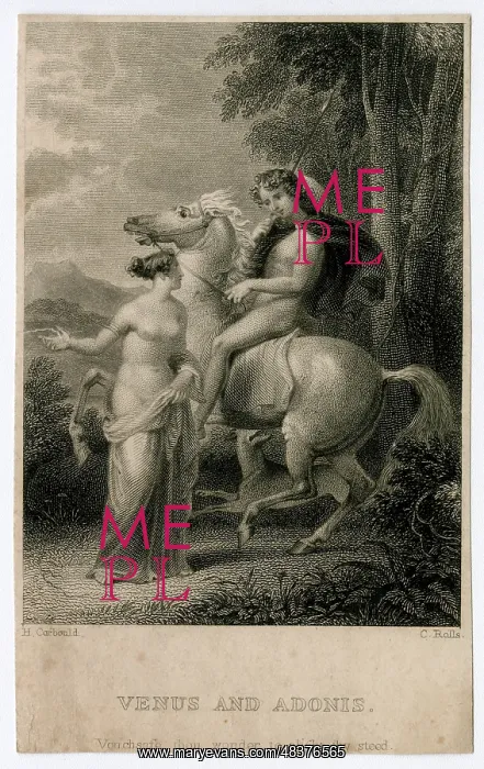 : Shakespeare - Venus and Adonis : Shakespeare - Venus and Adonis
