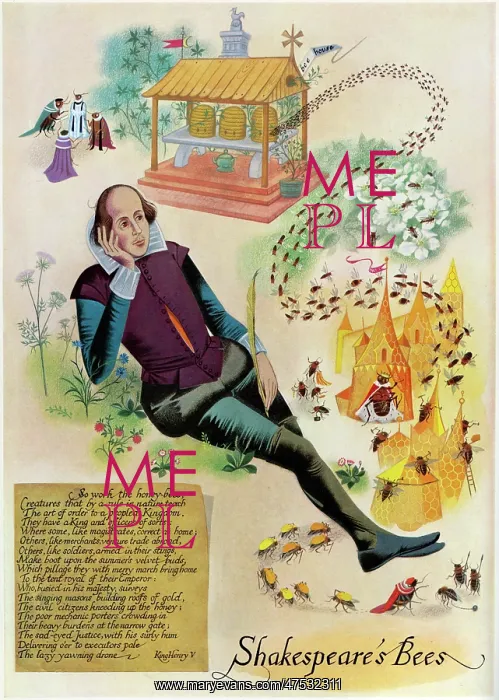 : Shakespeares Bees by Pauline Baynes : Shakespeares Bees by Pauline Baynes