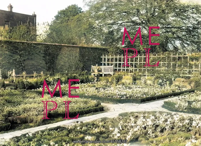 : SHAKESPEARE'S GARDEN : SHAKESPEARE'S GARDEN