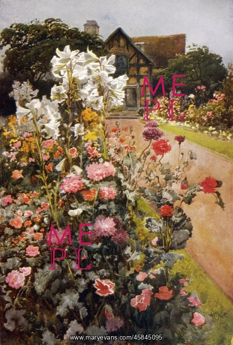 : Shakespeare's garden : Shakespeare's garden