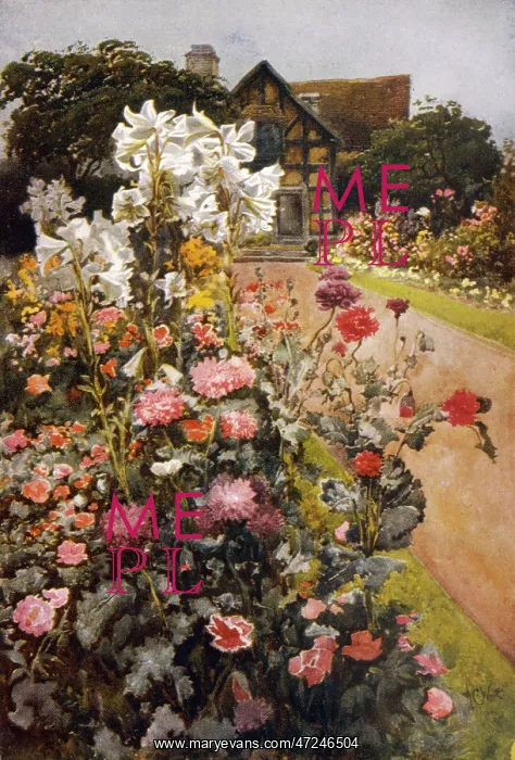 : Shakespeare's garden : Shakespeare's garden