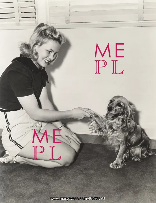 : Shaking hands with her cocker spaniel