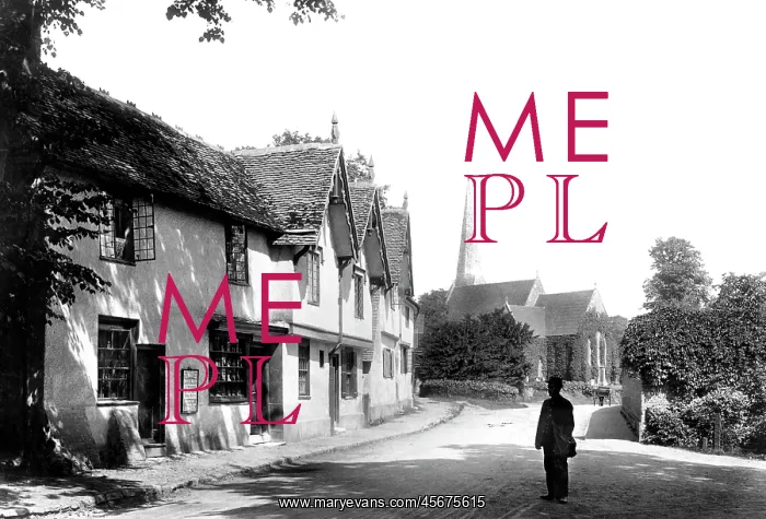  : Shalford, Village 1904