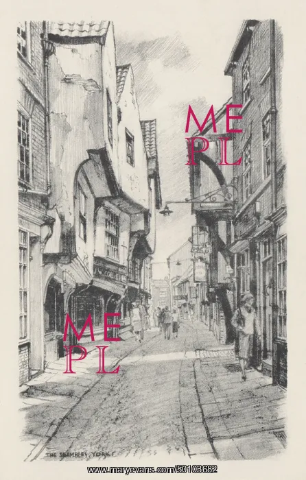  : York. The Shambles. Line engraving