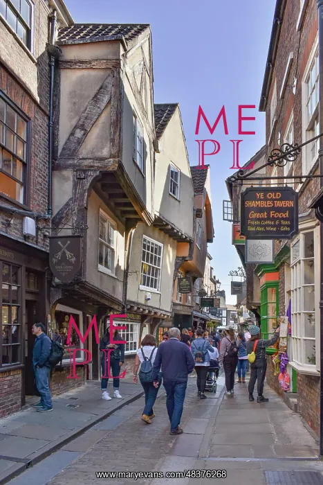 : The Shambles, York : The Shambles, York