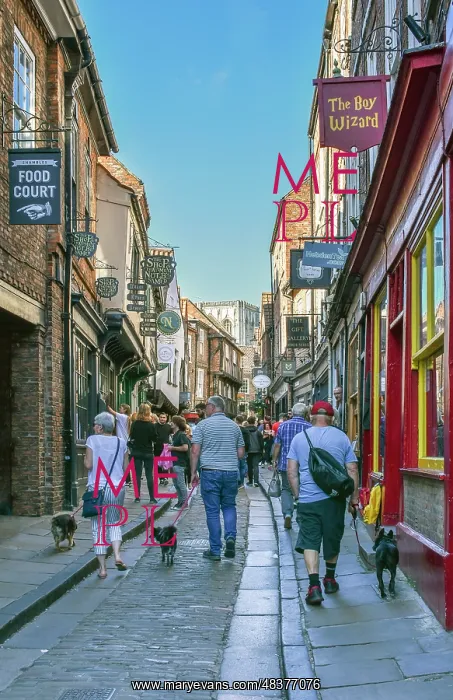 : The Shambles, York : The Shambles, York