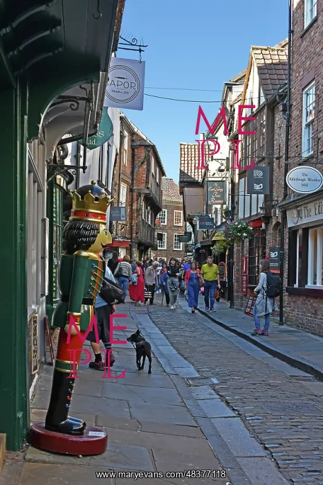 : The Shambles, York : The Shambles, York