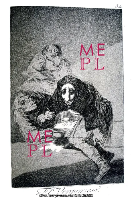 : The Shamefaced One Artist: Francisco Goya : The Shamefaced One Artist: Francisco Goya