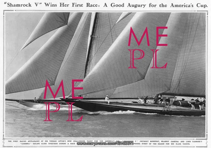 : Shamrock V races : Shamrock V races
