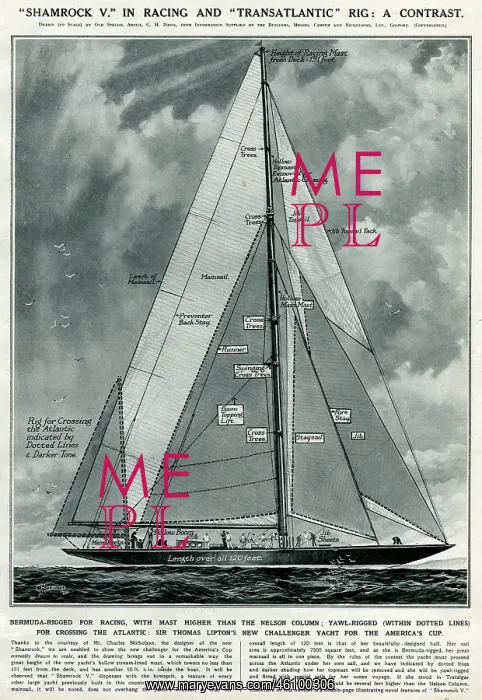 : Shamrock V yacht by G. H. Davis : Shamrock V yacht by G. H. Davis