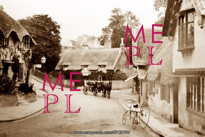  : Shanklin, Isle of Wight