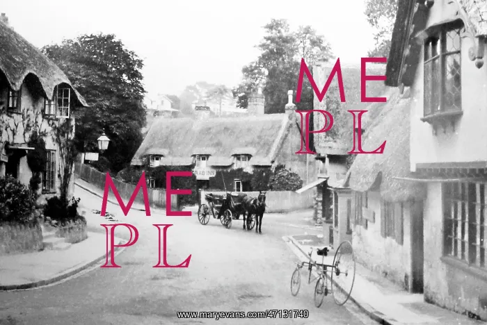  : Shanklin, Isle of Wight, Victorian period