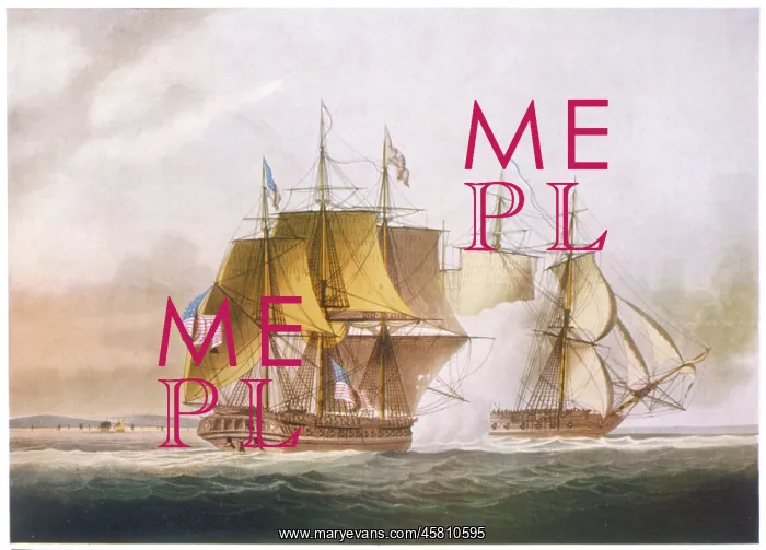 : SHANNON V CHESAPEAKE : SHANNON V CHESAPEAKE