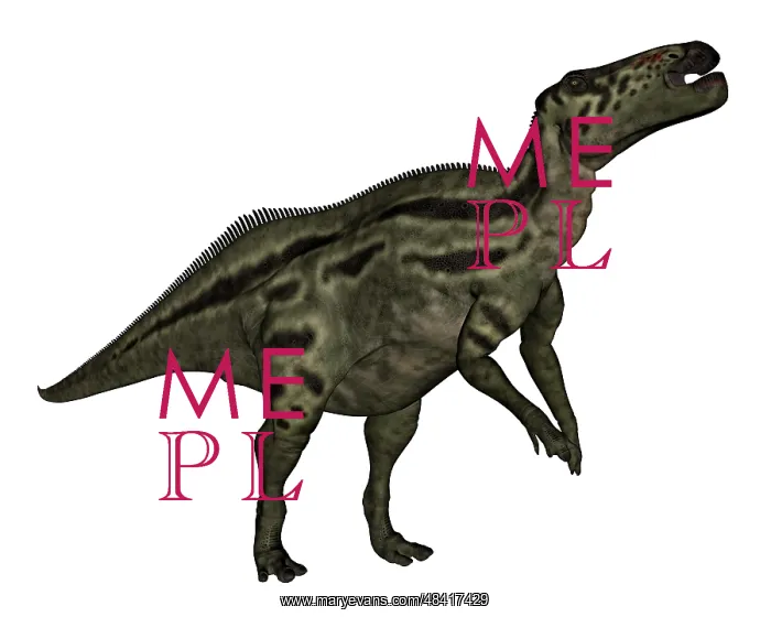: Shantungosaurus dinosaur : Shantungosaurus dinosaur