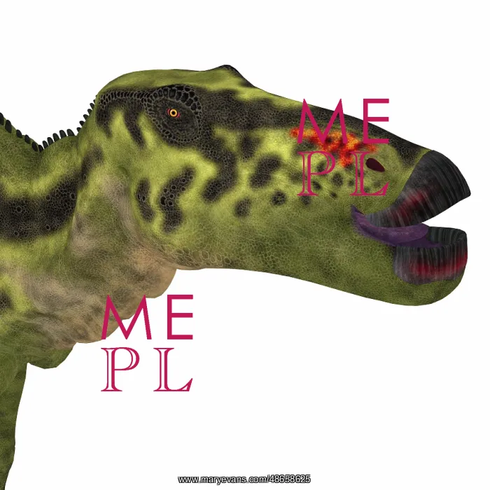 : Shantungosaurus dinosaur head : Shantungosaurus dinosaur head