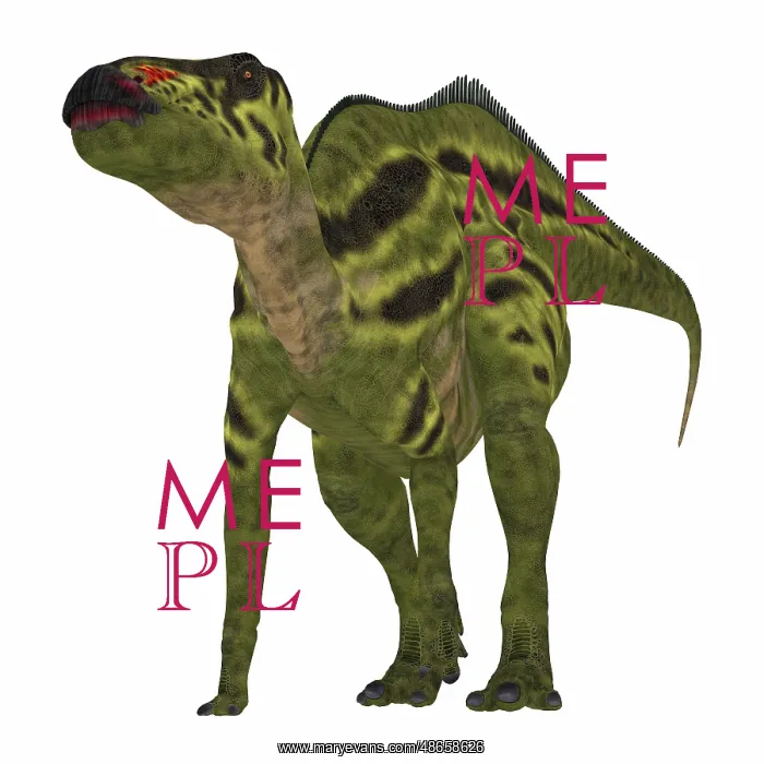 : Shantungosaurus dinosaur on white background : Shantungosaurus dinosaur on white background
