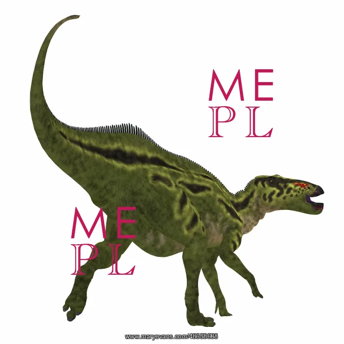 : Shantungosaurus dinosaur on white background : Shantungosaurus dinosaur on white background