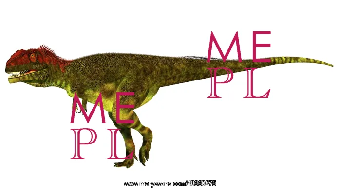: Shaochilong maortuensis dinosaur, side view on : Shaochilong maortuensis dinosaur, side view on