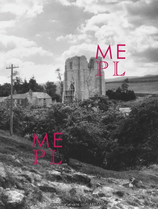: SHAP ABBEY : SHAP ABBEY