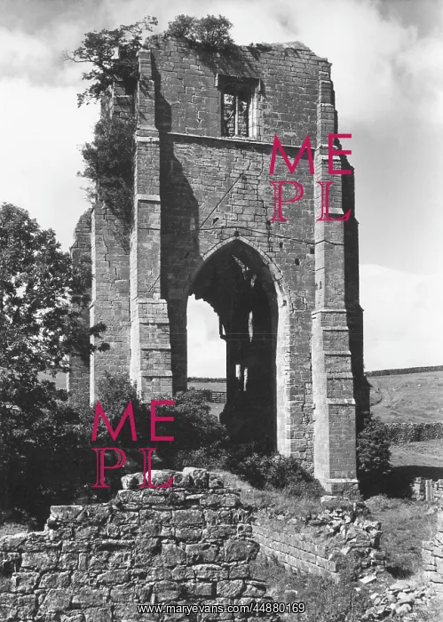 : SHAP ABBEY : SHAP ABBEY