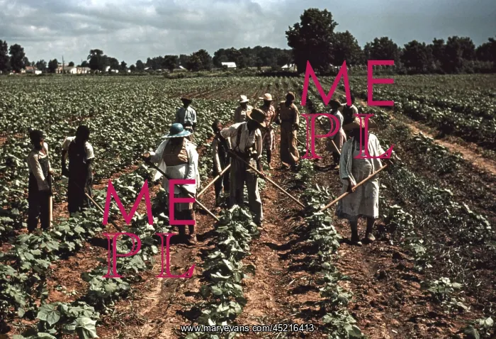 : Sharecroppers at Bayou Bourbeau plantation, ? : Sharecroppers at Bayou Bourbeau plantation, ?