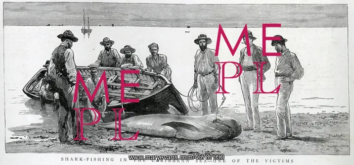 : Shark Fishing in the Caribbean : Shark Fishing in the Caribbean
