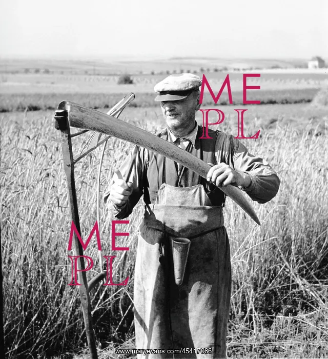  : Sharpeni scythe