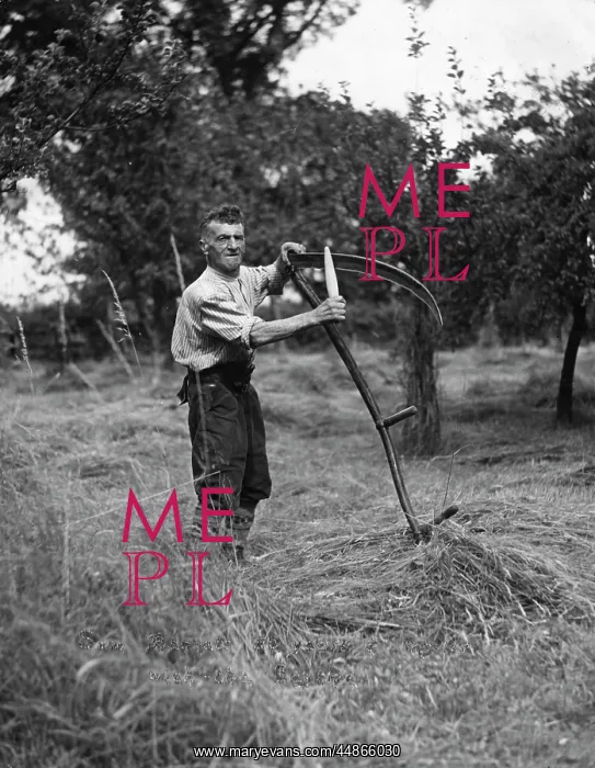 : SHARPENING A SCYTHE : SHARPENING A SCYTHE