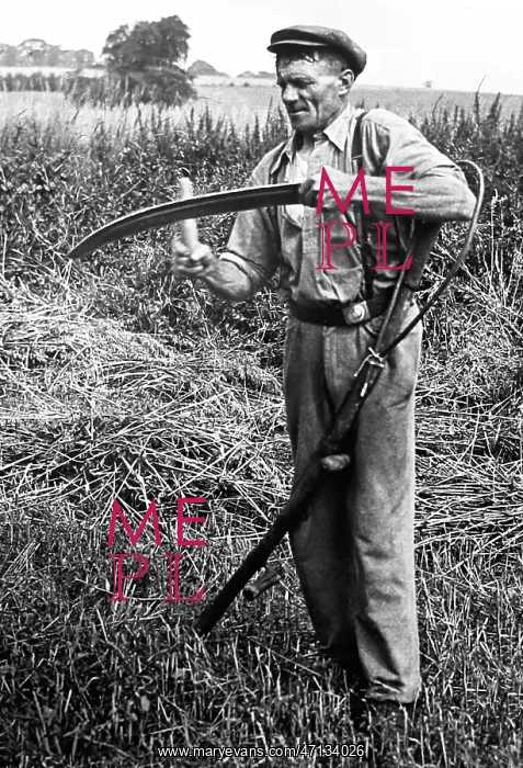  : Sharpening his scythe, early 1900s