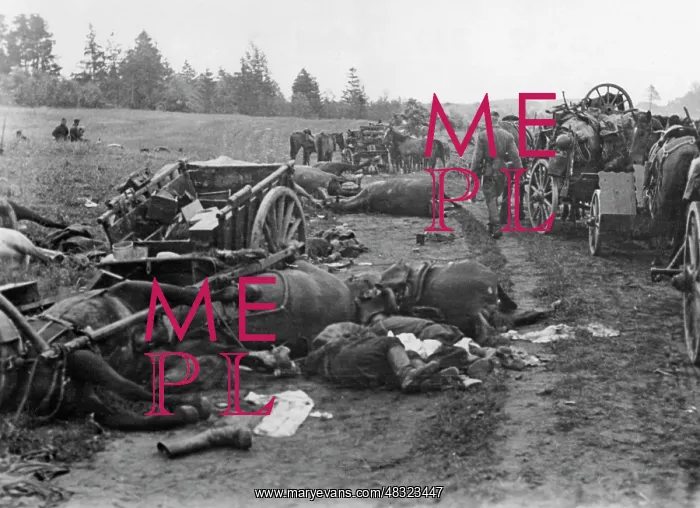 : Shattered Russian column in Ukraine, 1941 : Shattered Russian column in Ukraine, 1941