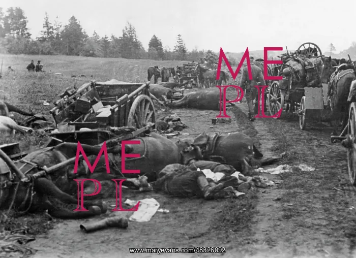 : Shattered Russian column in Ukraine, 1941 : Shattered Russian column in Ukraine, 1941