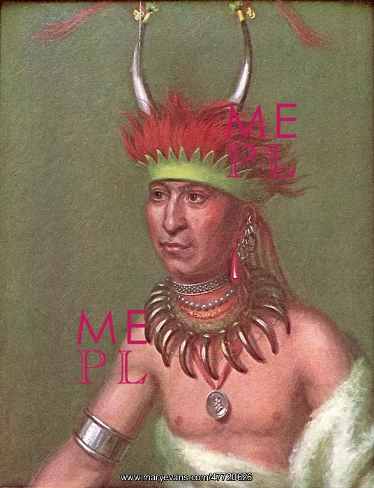  : Shaumonekusse