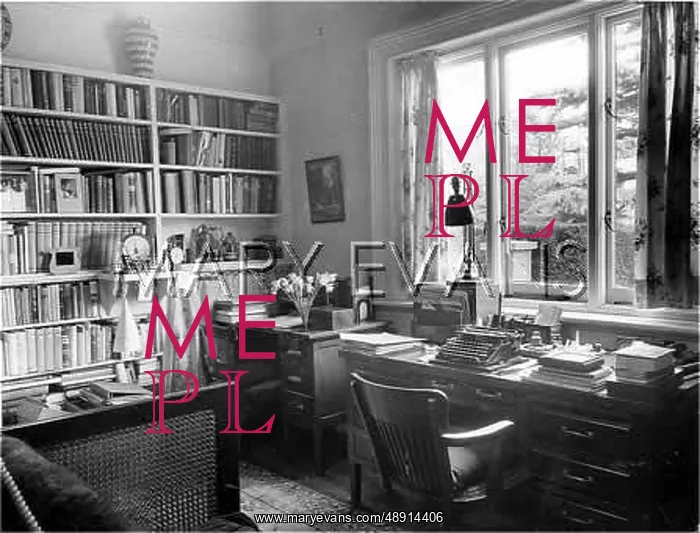 : SHAW'S STUDY : SHAW'S STUDY