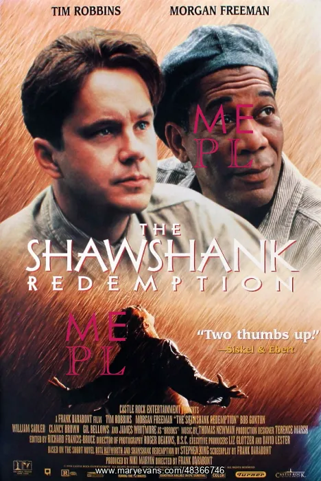 : The Shawshank Redemption a 1994 American Drama : The Shawshank Redemption a 1994 American Drama