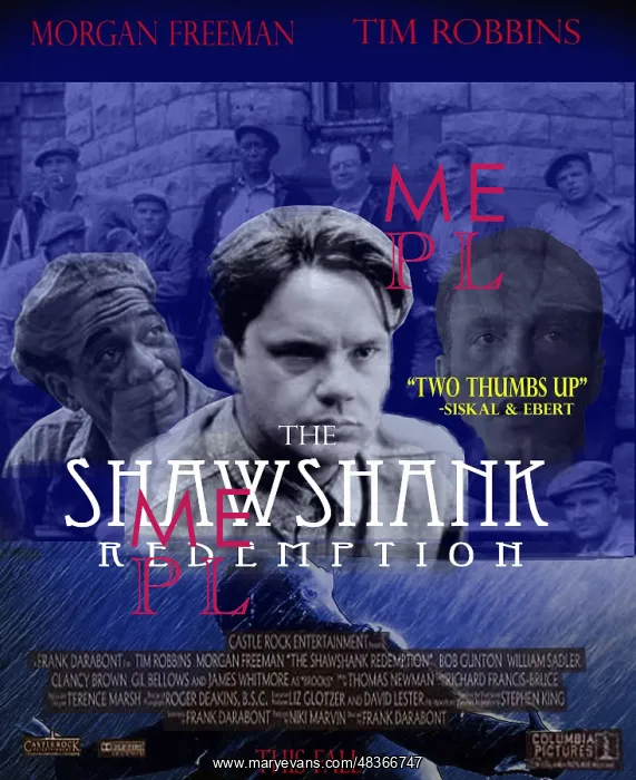 : The Shawshank Redemption a 1994 American Drama : The Shawshank Redemption a 1994 American Drama