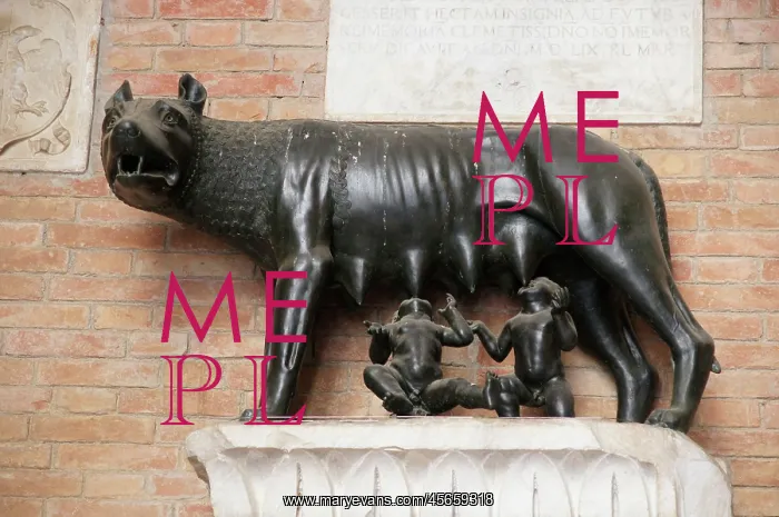  : She-wolf suckles the boys Romulus and Remus