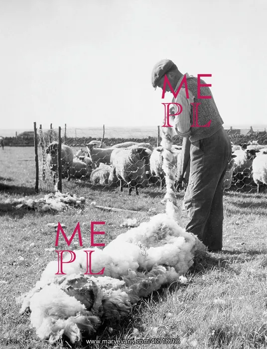  : SHEARING, NORTHANTS