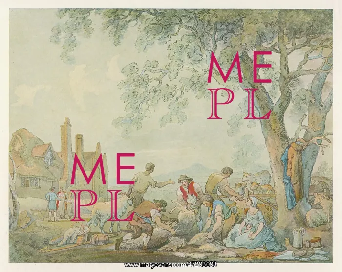  : SHEARING (ROWLANDSON)