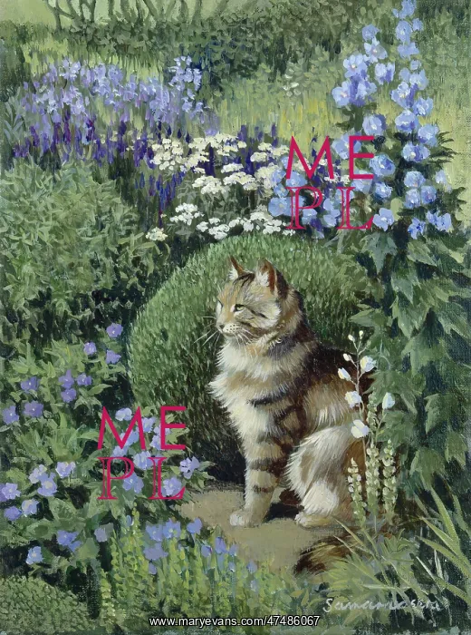 : Sheba ' tabby cat with delphiniums : Sheba ' tabby cat with delphiniums