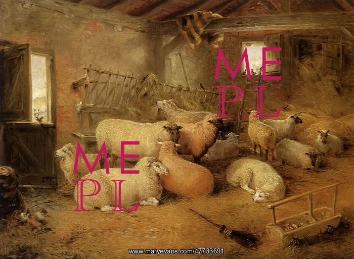  : Sheep in a Barn