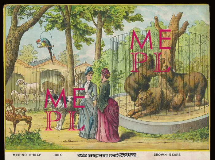 : SHEEP AND BEARS ZOO : SHEEP AND BEARS ZOO