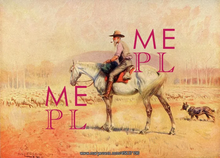  : Sheep drover in Australia