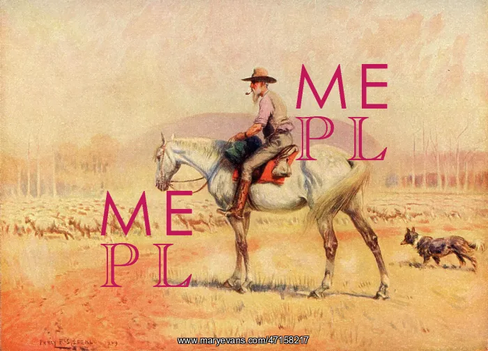  : Sheep drover in Australia