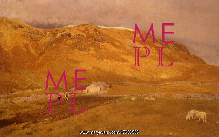  : A Sheep Farm in the Duddon