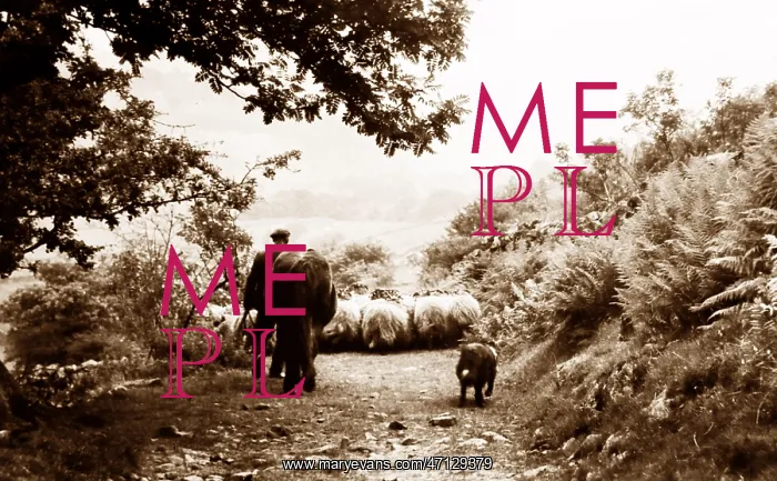  : Sheep farmer in Swaledale in the 1940s