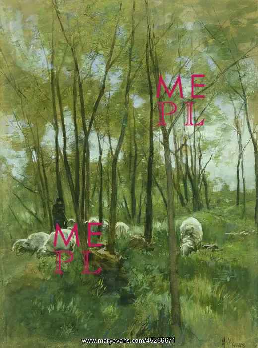 : Sheep in a Forest : Sheep in a Forest